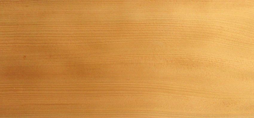 Ceder (Lebanon) veneer