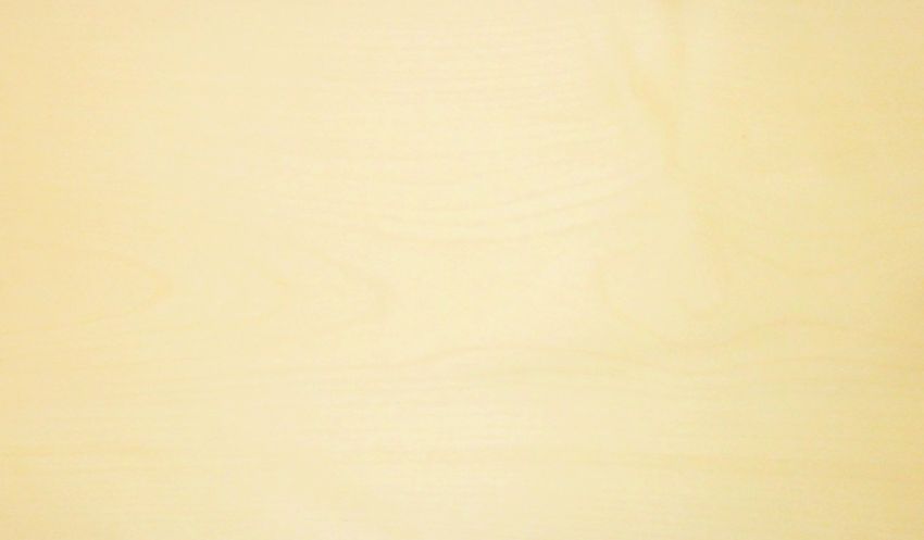 Sycomore (europ. Maple) veneer