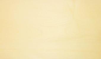 Sycomore (europ. Maple) veneer