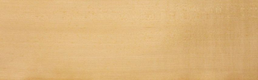 Ahorn amerik. (Hard Maple) Furnier