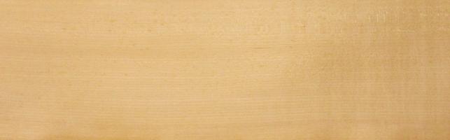 Maple (Hard Maple) veneer