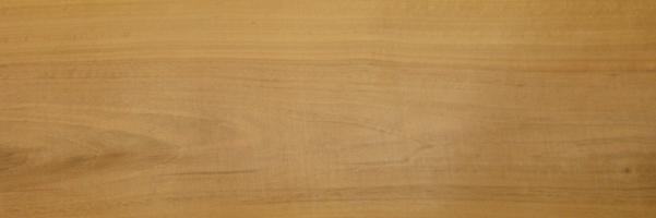 Walnut europ. veneer