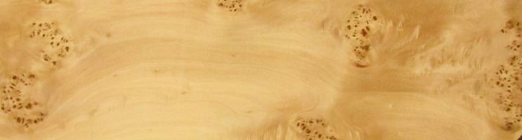 Poplar Burl veneer