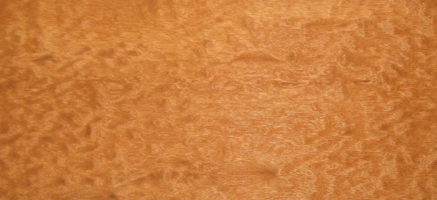Mahogani Pommele veneer