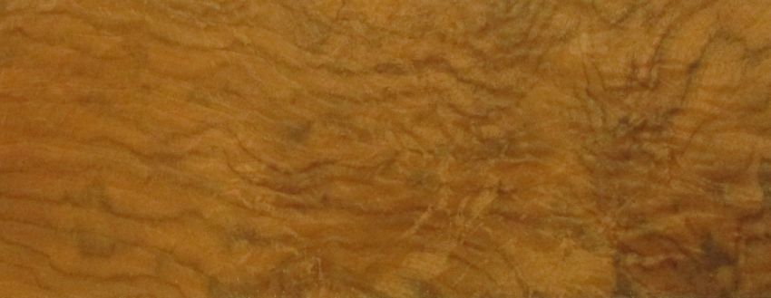 Nussbaum Maser (Wurzelholz) Furnier