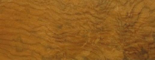 Walnut Burl veneer