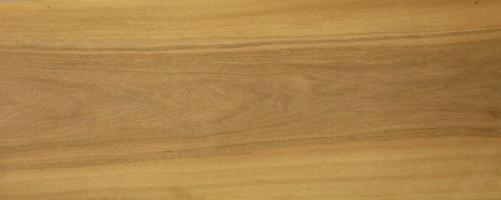 Walnut europ. veneer