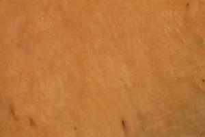 Madrona Burl veneer