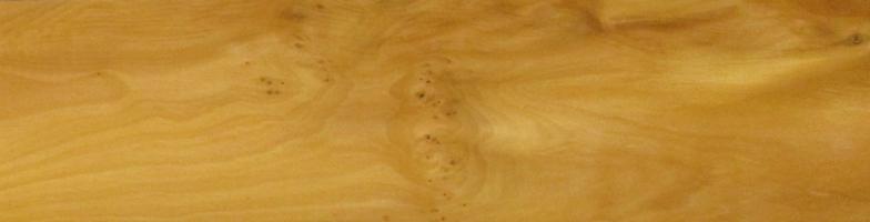 Yew - tree veneer