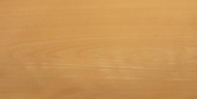 Beech veneer