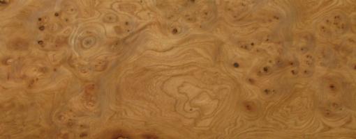 Elm Burl veneer