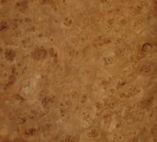 Elm Burl veneer