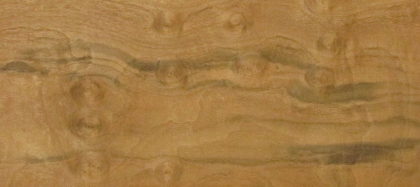 Nussbaum Maser (Wurzelholz) Furnier