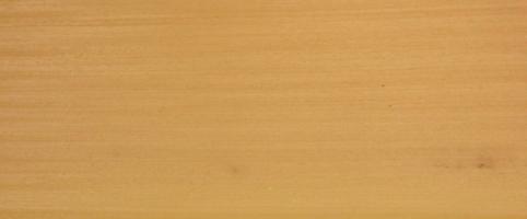 Ayous veneer