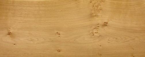 Oak knotty veneer