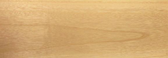 Paulownia veneer
