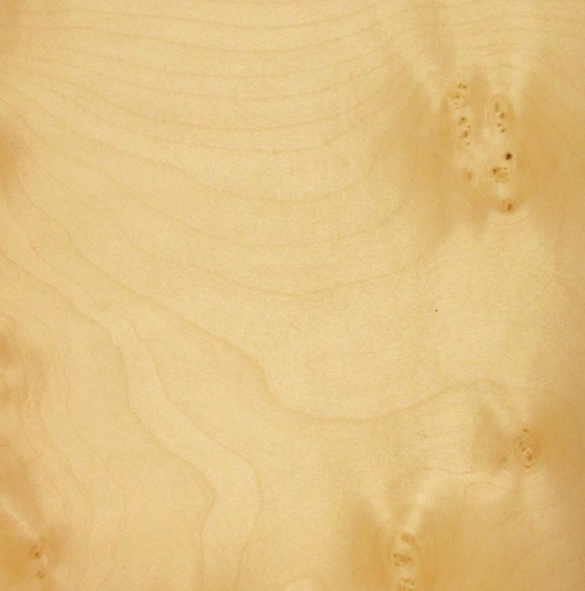 Sycomore Burl veneer