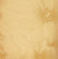 Sycomore Burl veneer