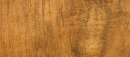 Walnut Burl veneer