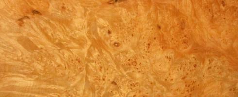 Sycomore Burl veneer