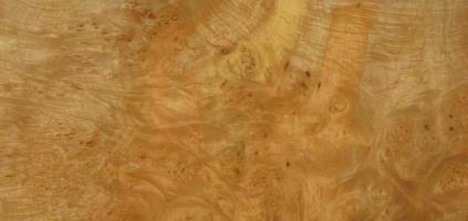 Maple Burl veneer