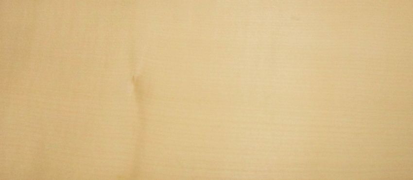 Sycomore (europ. Maple) veneer