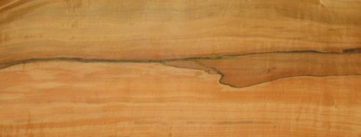 Tineo veneer