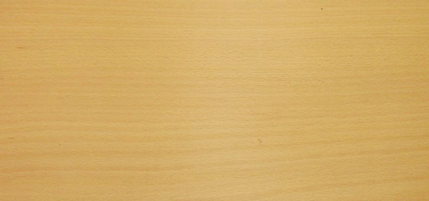 Beech veneer