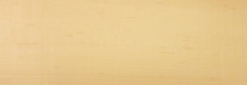 Maple (Hard Maple) veneer