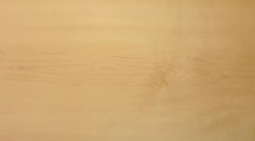 Maple (Hard Maple) veneer
