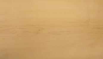 Maple (Hard Maple) veneer