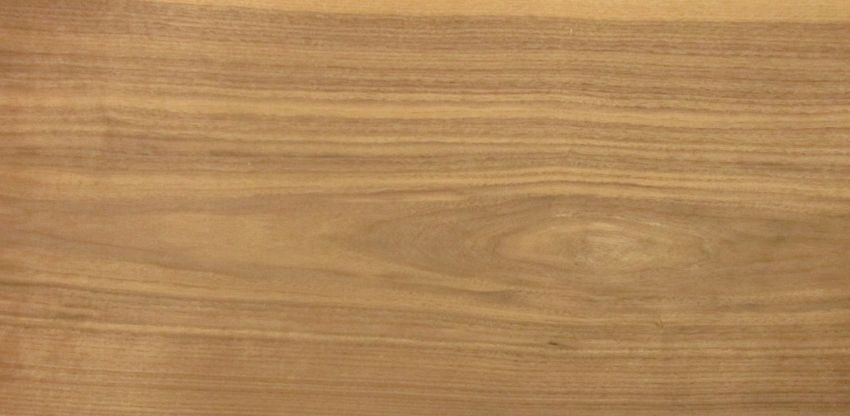 Walnut (Black Walnut) veneer
