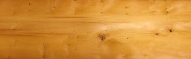 Yew - tree veneer