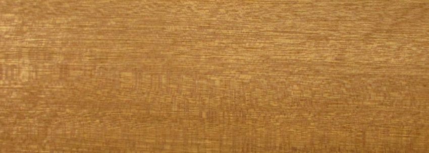 Meranti Furnier