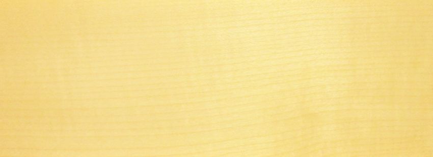 Sycomore (europ. Maple) veneer