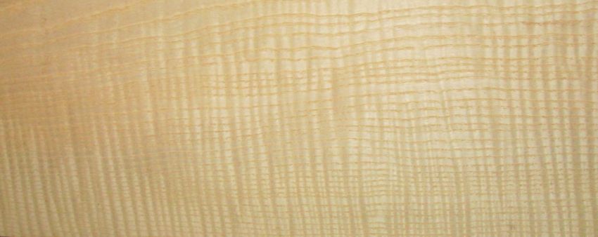 Esche Riegel Furnier