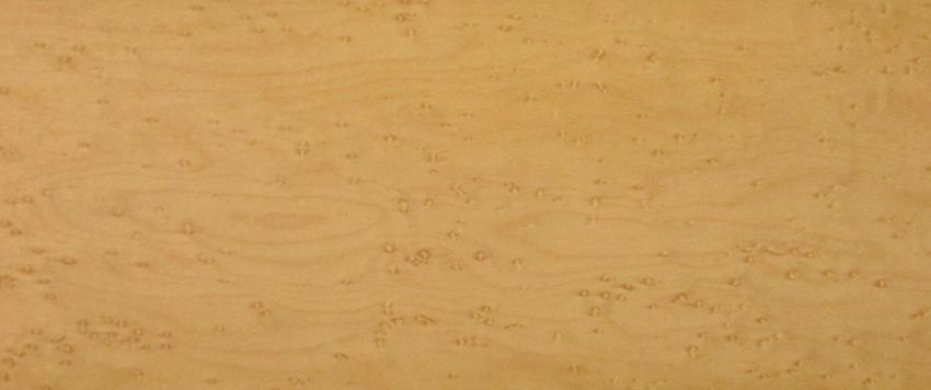 Maple (Bird´s Eye Maple) veneer