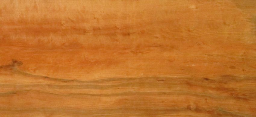 Tineo veneer