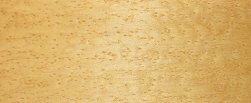 Maple (Bird´s Eye Maple) veneer