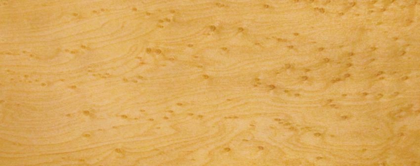 Maple (Bird´s Eye Maple) veneer