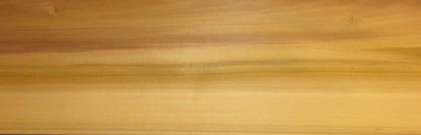 Tulipier veneer