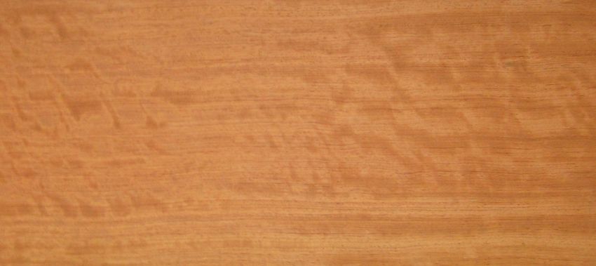 Bubinga Furnier