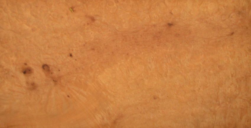 Madrona Burl veneer