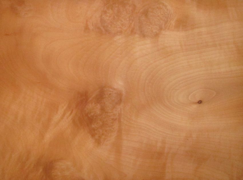 Madrona Burl veneer