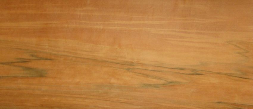 Apfel Indisch (Tineo) Furnier