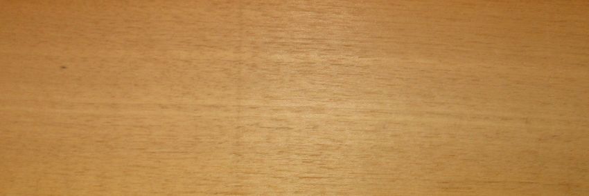 Nussbaum europ. Splint Furnier
