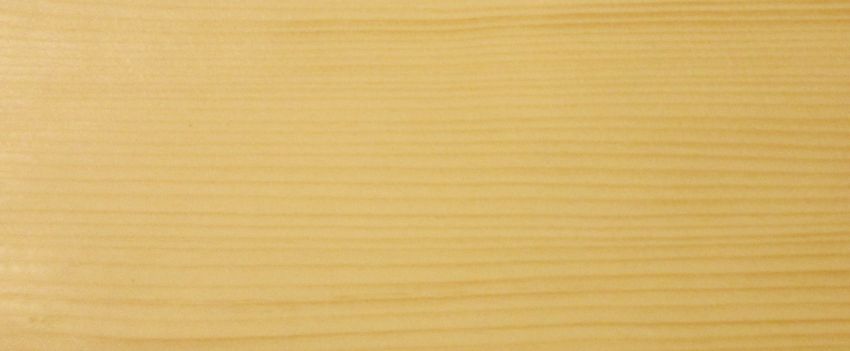 Spruce veneer