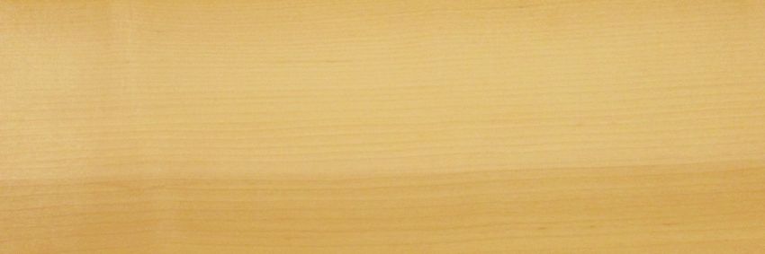 Maple (Hard Maple) veneer