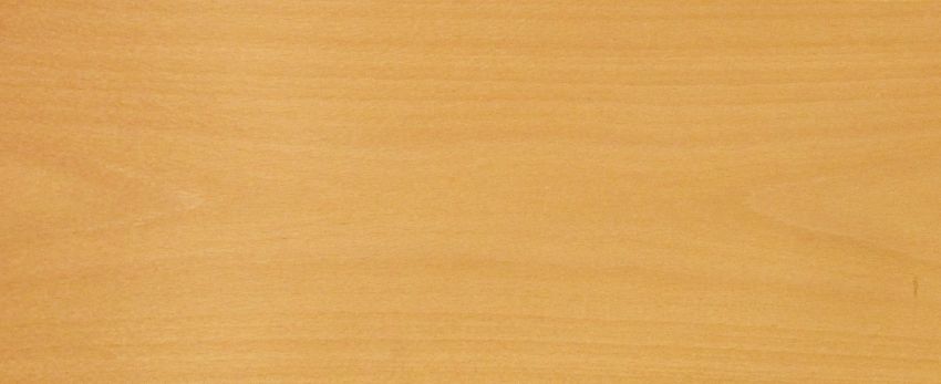 Beech veneer