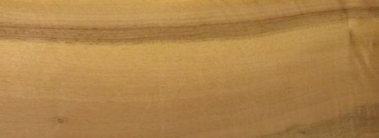 Walnut europ. veneer